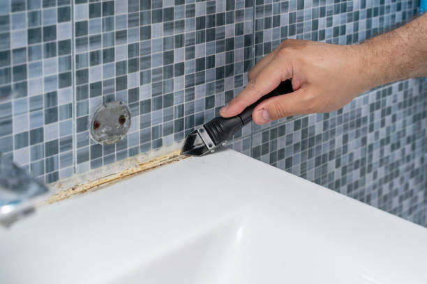 Best Local Mold Removal Service  in Point Pleasant Beach, NJ